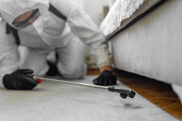 Professional Termite Control technician working in Sun Prairie, WI