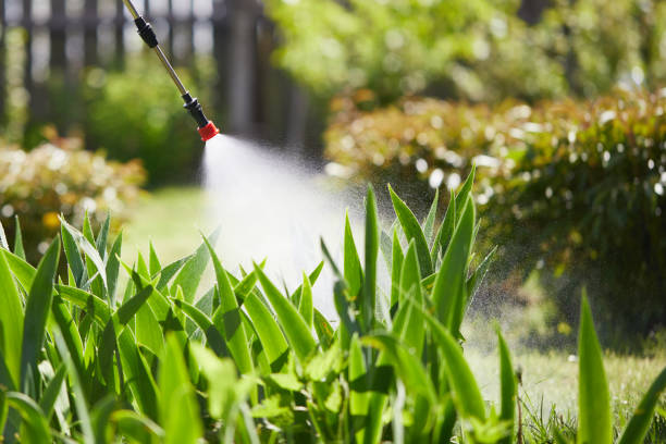 24/7 Emergency Termite Control experts in Sun Prairie, WI