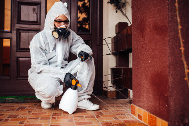 Reliable Termite Control contractor in Sun Prairie, WI by Nex Pest Control