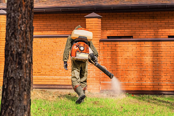Trusted Bed Bug Control service in Sun Prairie, WI - Nex Pest Control